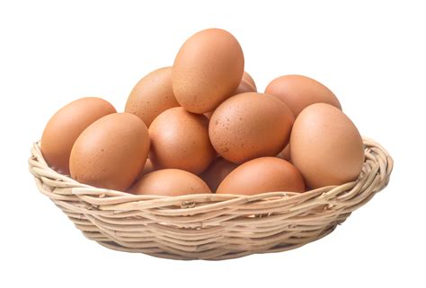 egg.
